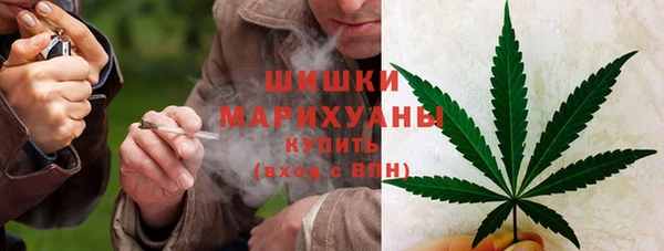 сатива Волоколамск