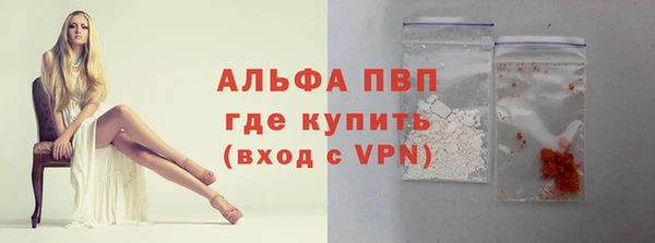 сатива Волоколамск