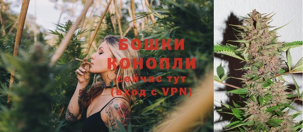 сатива Волоколамск