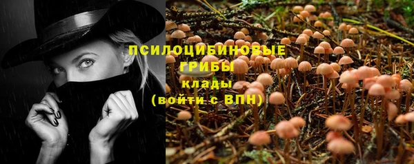 сатива Волоколамск