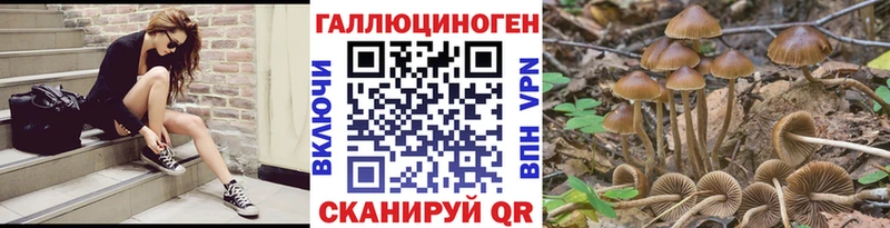 сколько стоит ОМГ ОМГ сайт Галлюциногенные грибы Cubensis Суворов